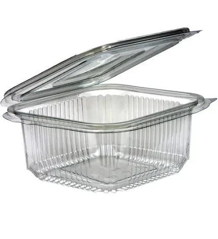Plastic Hinged Clear Container