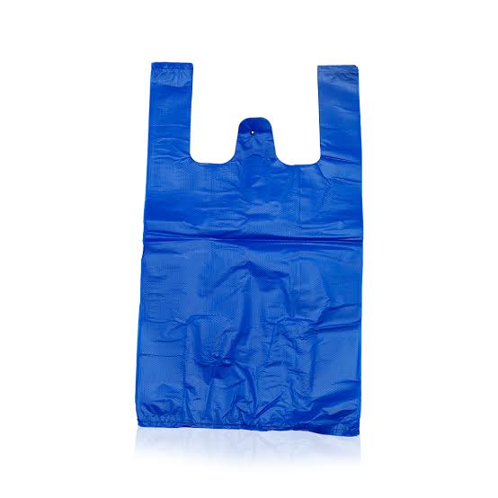 Blue Medium bag