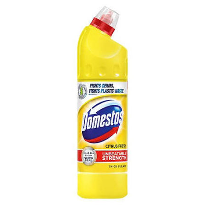 Domestos Bleach